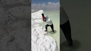 White Sand Explained shorts [upl. by Denn213]