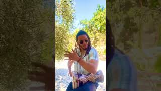 Aicha X bailando cover darbuka coversongs [upl. by Quenby]