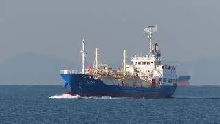 TOKUYO MARU NO3 第三徳誉丸 入港 LPGタンカーLiquefied Petroleum Gas Tanker [upl. by Wandis]