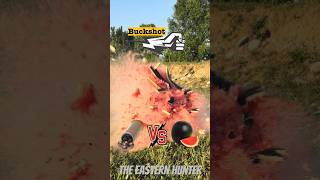 Buckshot VS 🍉 [upl. by Eanerb362]