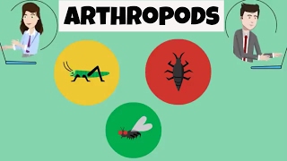 Characteristics of Arthropods [upl. by Painter]