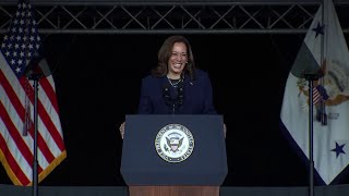 Kamala Harris secures Democratic presidential nomination [upl. by Innattirb291]