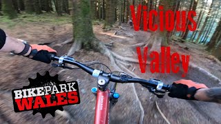 Vicious Valley  BikePark Wales MTB [upl. by Nylirrej253]