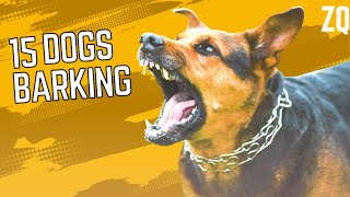 BARKING DOGS How to Make Your Dog Bark  15 Dog Breeds Barking Sound Effects HD [upl. by Pollitt839]