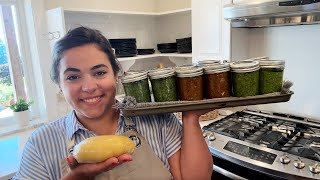 Making a Years Worth of Pesto Three Ways and Homemade Pasta [upl. by Akimot]