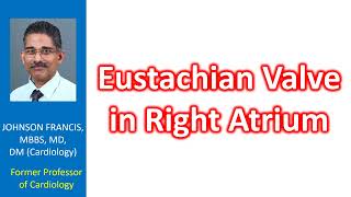 Eustachian valve in right atrium [upl. by Lentha]