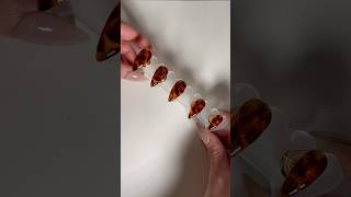 Tortoise shell press on nail set for Fall 🍁naildesign nails pressonails nailtutorial [upl. by Aikyt]