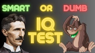 What is your IQ The Most Accurate and Free IQ Test [upl. by Ennayk107]