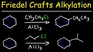 Friedel Crafts Alkylation of Benzene Reaction Mechanism  Tons of Examples [upl. by Colwin102]