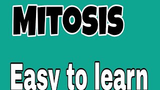 Mitosis 9th class Lesson no24 [upl. by Ahsinelg123]