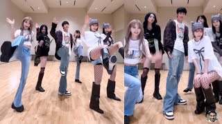 BTS Jin and Le Sserafim Doing Crazy Dance Challenge [upl. by Chemosh]