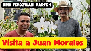 Visita a Juan Morales AMO Tepoztlan parte 1 [upl. by Oisor]