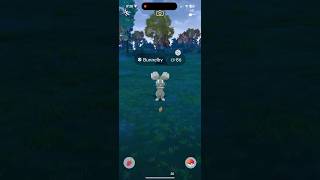 I caught a shiny Bunnelby pokemongo shinypokemon [upl. by Zeus]