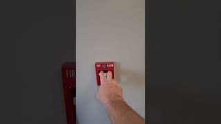 Pulling the Fire Alarm to see if this helps [upl. by Nessy263]