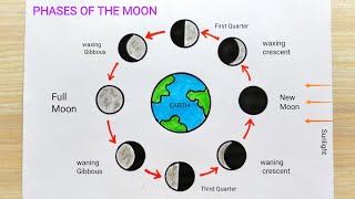 Moon phase drawing step by step  Moon phase diagram drawing  How to draw phases of the moon [upl. by Eduardo]