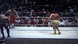 Macho Man Randy Savage amp Lanny Poffo VS The Rock amp Roll Express [upl. by Arodaeht92]