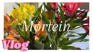 Creative vlog🩷 My life😋  Mørtein [upl. by Airamahs]