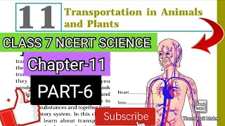 TRANSPORTATION IN ANIMALS AND PLANTS 🪴✅️CLASS 7 NCERT SCIENCEPART6 biology ncert science [upl. by Trahurn886]