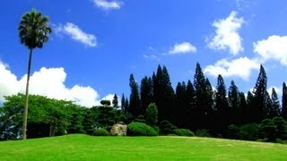 Relaxing Music  Over 100 Exotic Landscapes Nature Sounds  Relax TV 3 Hours [upl. by Anneuq]