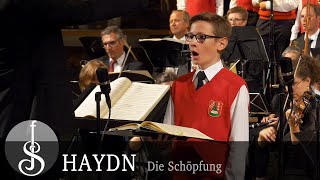 Haydn  Die Schöpfung  Wiltener Sängerknaben [upl. by Janeva]