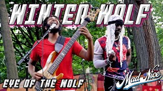 Winter Wolf NYC  Eye Of The Wolf  Live September 1 2024  MadNiceTV [upl. by Alyal172]