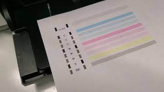 How to fix streaks Canon Pixma Printer [upl. by Nahsar]