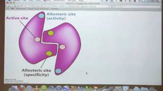 Kevin Aherns BiteSized Biochemistry 40  Nucleotide Metabolism II [upl. by Otto]