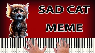 Sad Cat Meme Song TikTok  PIANO TUTORIAL [upl. by Dian]