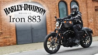 HarleyDavidson Iron 883 [upl. by Yonita723]