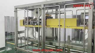 25kg Automatic Bagging Machine Line [upl. by Armstrong789]