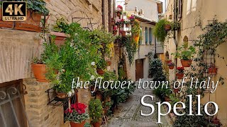 Spello Umbria the flower town of Italy  Italy Walking Tour [upl. by Macario]