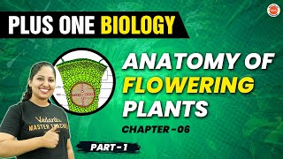 Anatomy of Flowering Plants  Chapter 6 Part 1  Class 11 Biology  Vedantu Malayalam [upl. by Fernande]