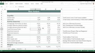 Calcular ratios financieros [upl. by Netsrijk]