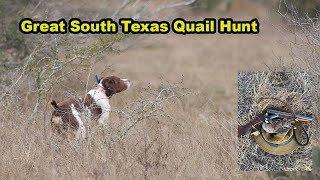 South Texas Wild Quail Hunt [upl. by Stephens]