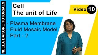 Cell  The Unit of Life  NEET  Plasma Membrane  Fluid Mosaic Model  Part  2  Neela Bakore [upl. by Eula]