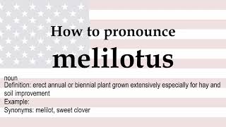 How to pronounce melilotus  meaning [upl. by Nannaihr]