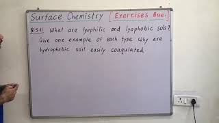 Lyophilic and lyophobic SOL why hydrophobic sol are easily coagulated class 12th surface chemistry [upl. by Argile]