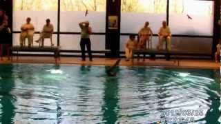 Synchronschwimmen TSV E Karlsfeld SDMS 2012 1platz CSolo  Gratzl [upl. by Lot]