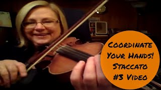 How to do Staccato 3  Coordinate Left amp Right Hands Violin Technique [upl. by Ibbor545]