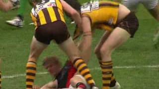 AFL Essendon Vs Hawthorn Round 22 Matthew Lloyd clash with Brad Sewell [upl. by Garratt]