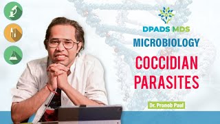 Coccidian Parasites  Parasitology  Toxoplasma Cryptosporidium  Isospora  Dr Pronob DPADS [upl. by Mayes]