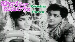 Bhulokamlo Yamalokam Telugu Movie Songs  Vericina Puvvu Song  Kantha Rao  Rajshree [upl. by Yerag]