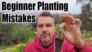 Vegetable Planting Mistakes to Avoid [upl. by Anivol270]