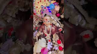 2July yogini ekadashi Radhe Radhe shortvideo🙏🙏🙏🙏 [upl. by Assirahc876]