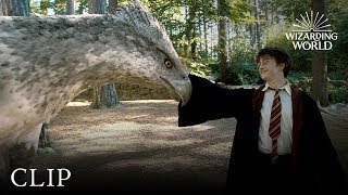 Meet Buckbeak  Harry Potter and the Prisoner of the Azkaban [upl. by Alekram]