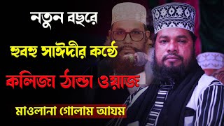 বাংলার ২য় সাঈদীমাও গোলাম আজমgolam azom waz 2022  Golam azom dhakagolam azam new waz ২০২২ [upl. by Bogusz125]