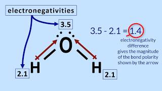 Polar Molecules Tutorial How to determine polarity in a molecule [upl. by Mcadams331]