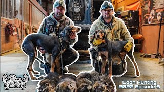 Coon Hunting with Black and Tan Coonhounds [upl. by Ethelda]