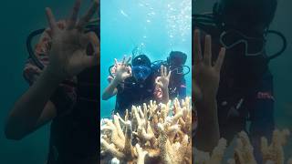 Lakshadeep  Scuba diving  youtubeshorts scubadiving lakshadweep [upl. by Ainoz726]