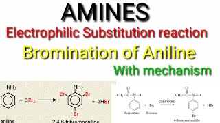 Electrophilic substitution reaction of aniline [upl. by Plusch713]